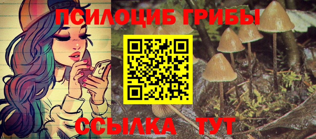 Красноперекопск  Галлюциногенные грибы Psilocybe  Вход с VPN 
